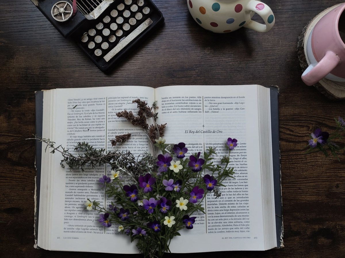 Escribir cuando nadie te espera y la identidad&nbsp;creativa